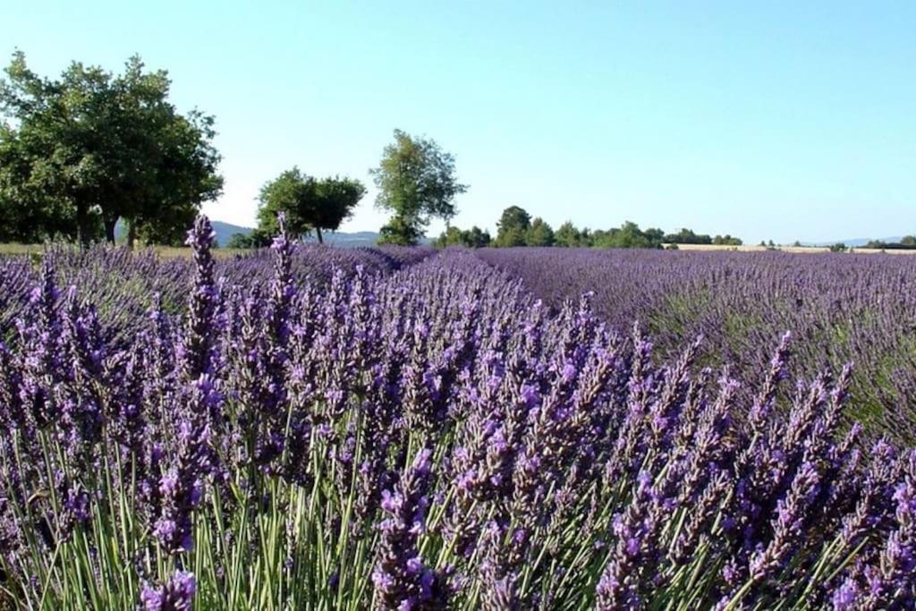 Coste Investissement - Le Vieil Olivier 2 Ferienhaus Cornillon