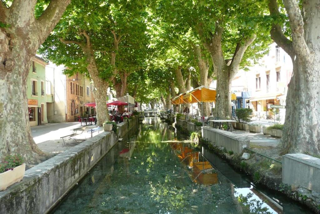 Coste Investissement - Le Vieil Olivier 2 *